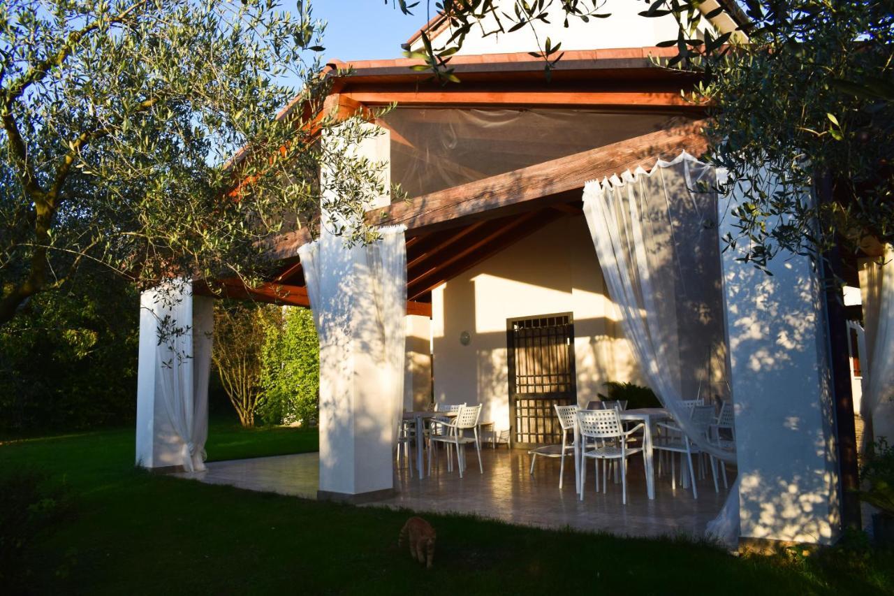 Beehouse - La Casa Delle Api Agriturismo Borso del Grappa Exterior foto